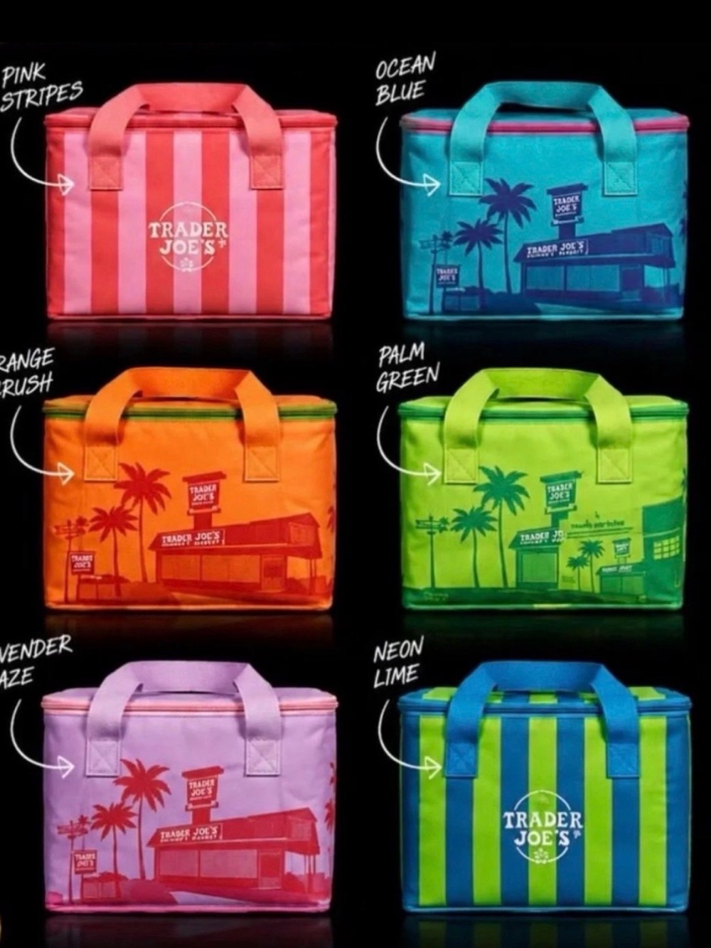 NWT Trader Joe’s Insulated Mini Tote complete 2026 set of 6